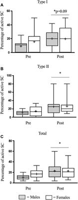 Sex-Based Differences in the Myogenic Response and Inflammatory Gene Expression Following Eccentric Contractions in Humans